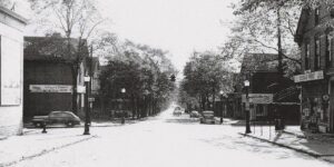 Tree lined street with a few cars and businesses showing. 