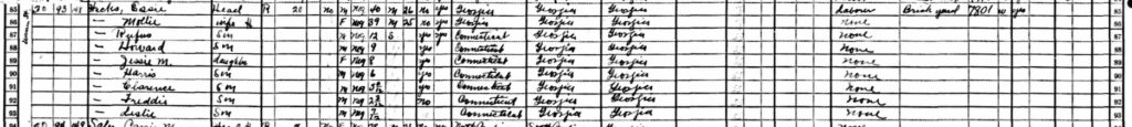 Lined chart with census information for the Hicks family.