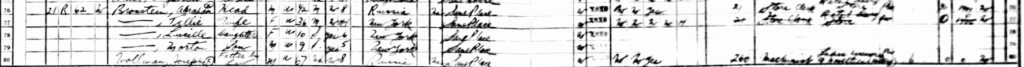Excerpt from a census document listing demographic information for the Bronstein family.