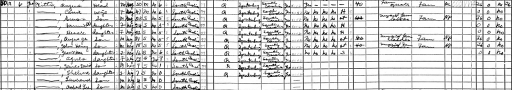 A snippet of the 1940 Census.