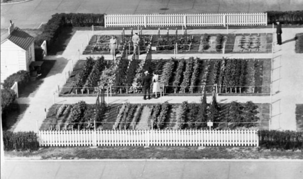 A black and white aerial photo of a large garden surrounded by a white picket fence.