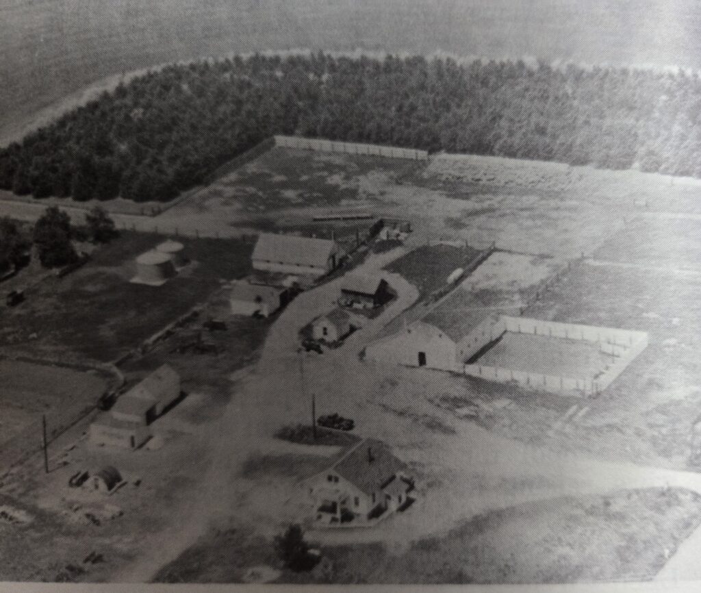 A black and white aerial image of a farm.
