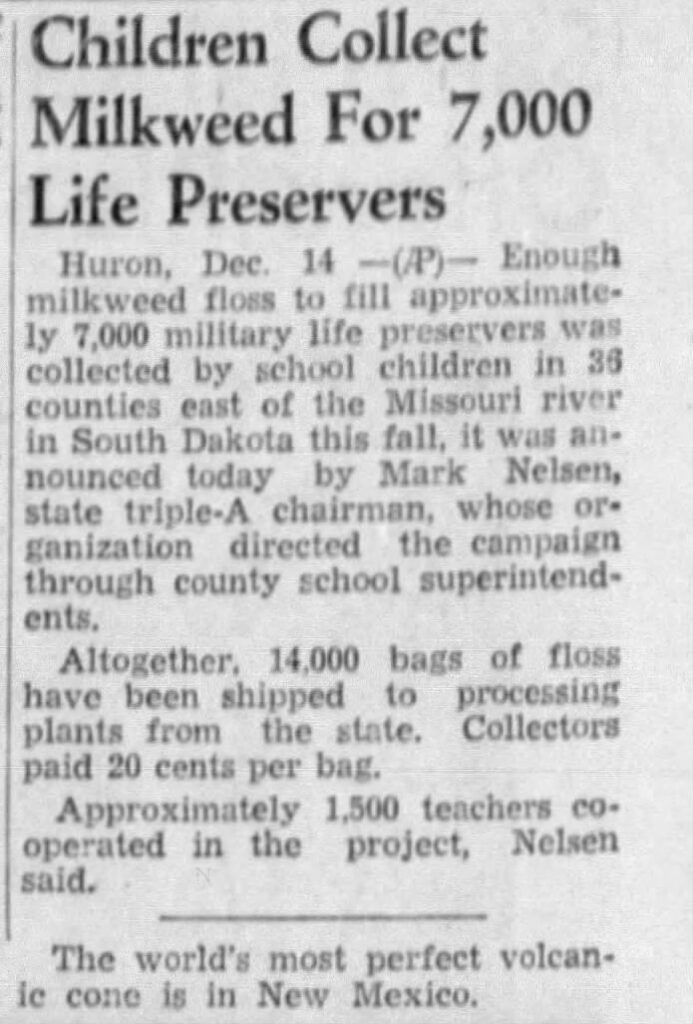 A newspaper article titled, “Children Collect Milkweed for 7,000 Life Preservers.”