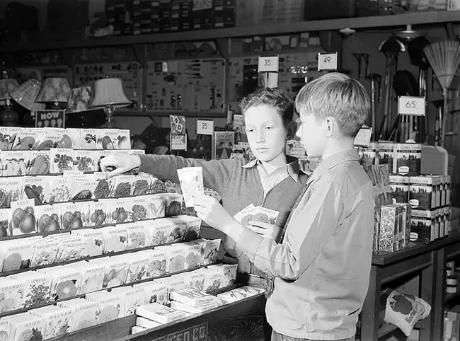A black and white photo of two young White boys at a hardware store looking at what seeds to buy. 