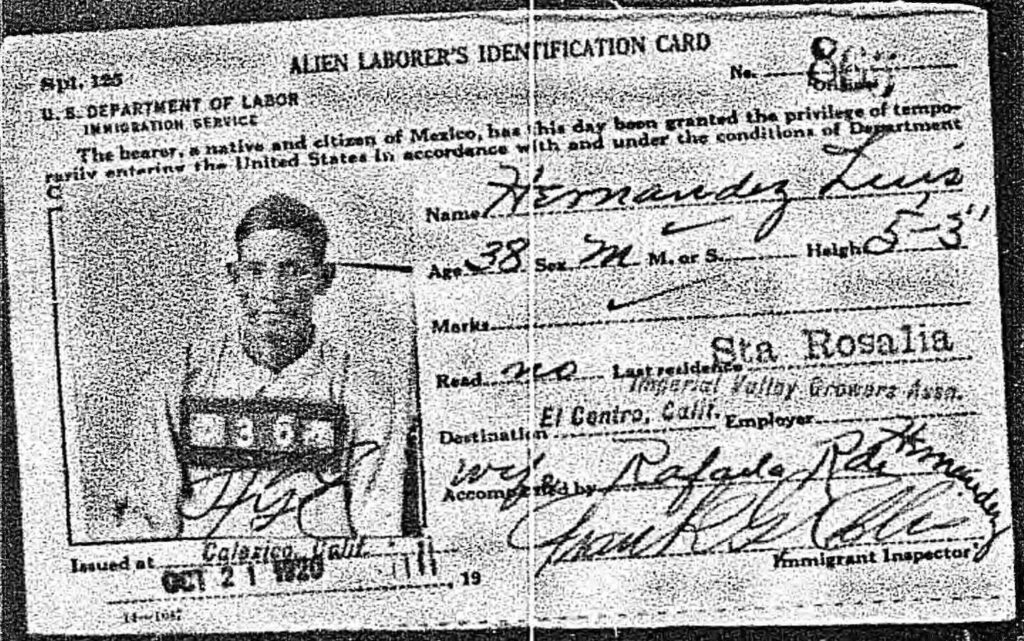 A black and white scan of an Alien Laborer’s Identification Card featuring name, sex, age, destination, etc. Attached is a headshot of a young man. 