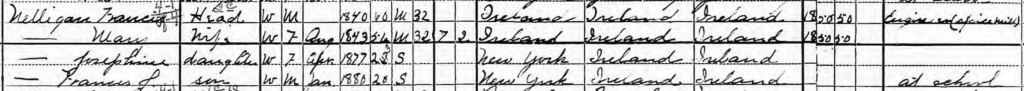 A snippet of the 1900 Census