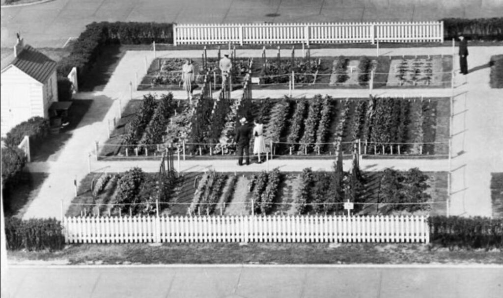 A black and white aerial image of a large garden with people walking around.