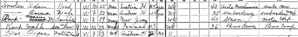 A snippet of the 1950 Census.