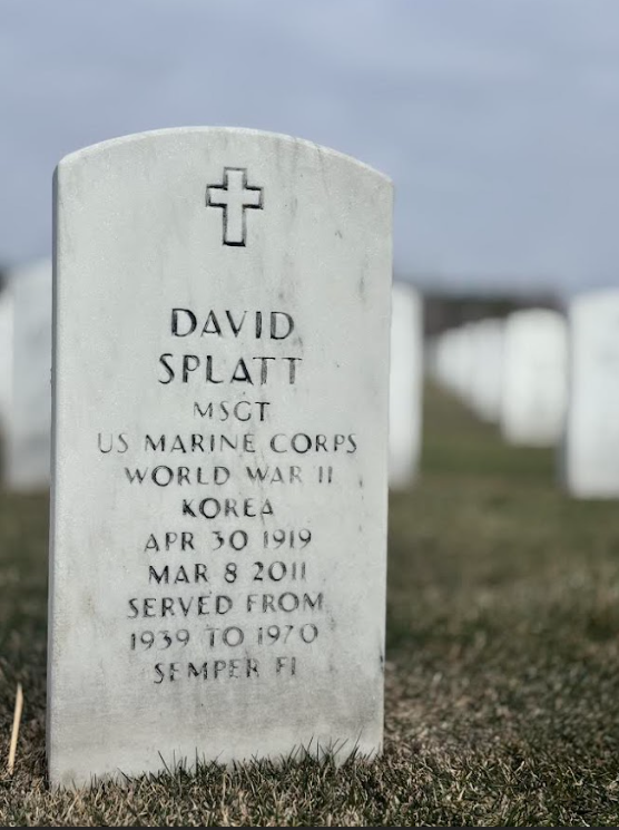 David Splatt's grave at Great Lakes National Cemetery.